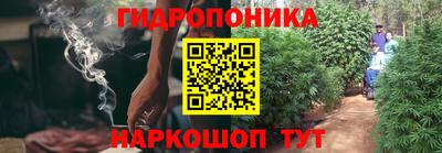 spice Гай