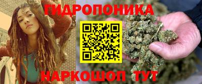 spice Гай