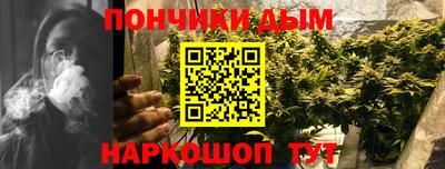 spice Гай