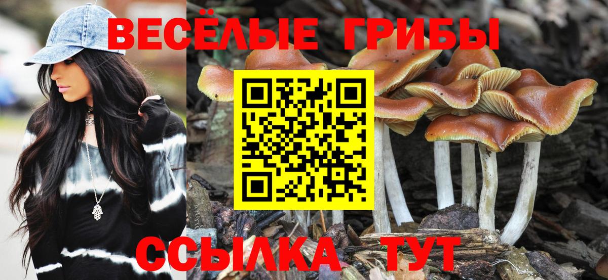 Галлюциногенные грибы ЛСД Ликино-Дулёво